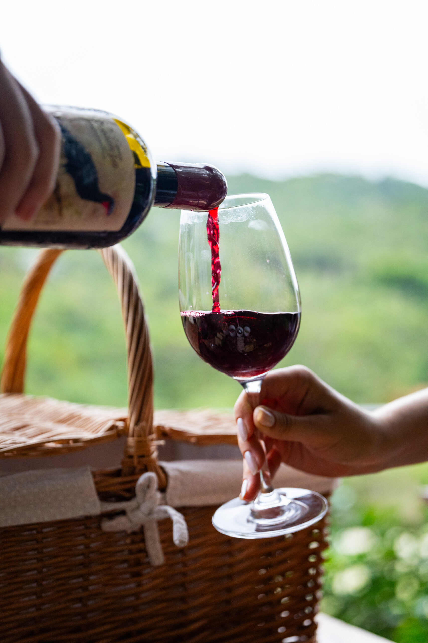 Vinhos da Vinícola Essenza: a expressão máxima do terroir da Mantiqueira