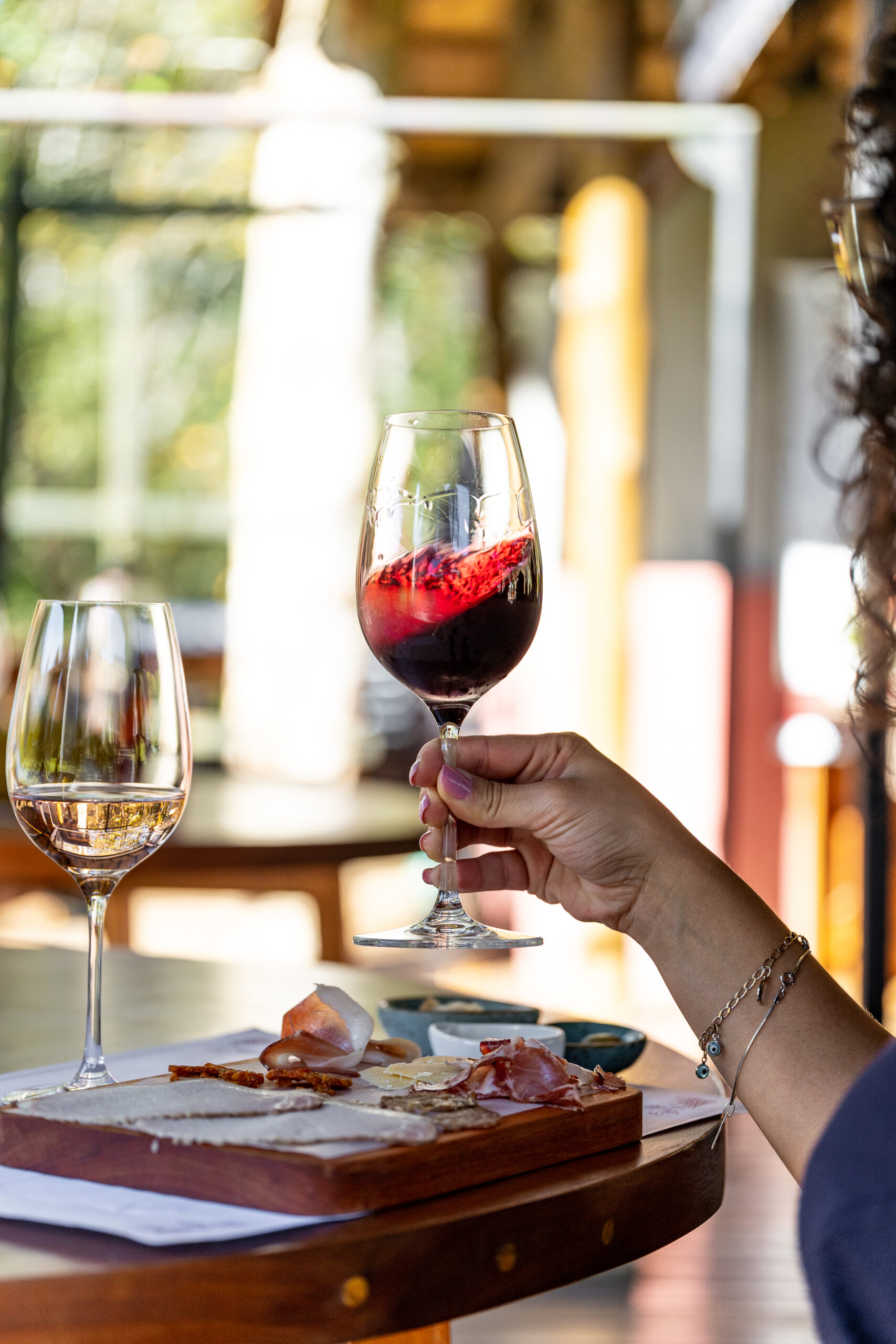 Vinho: conceitos essenciais, cuidados e boas práticas para uma experiência completa